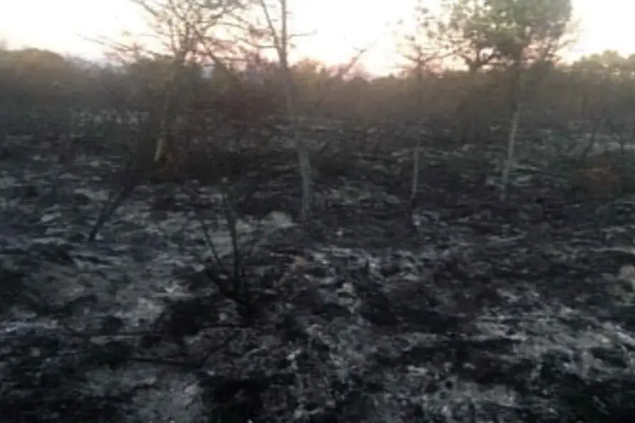 L'area delle campagne di Serri percorsa dall'incendio