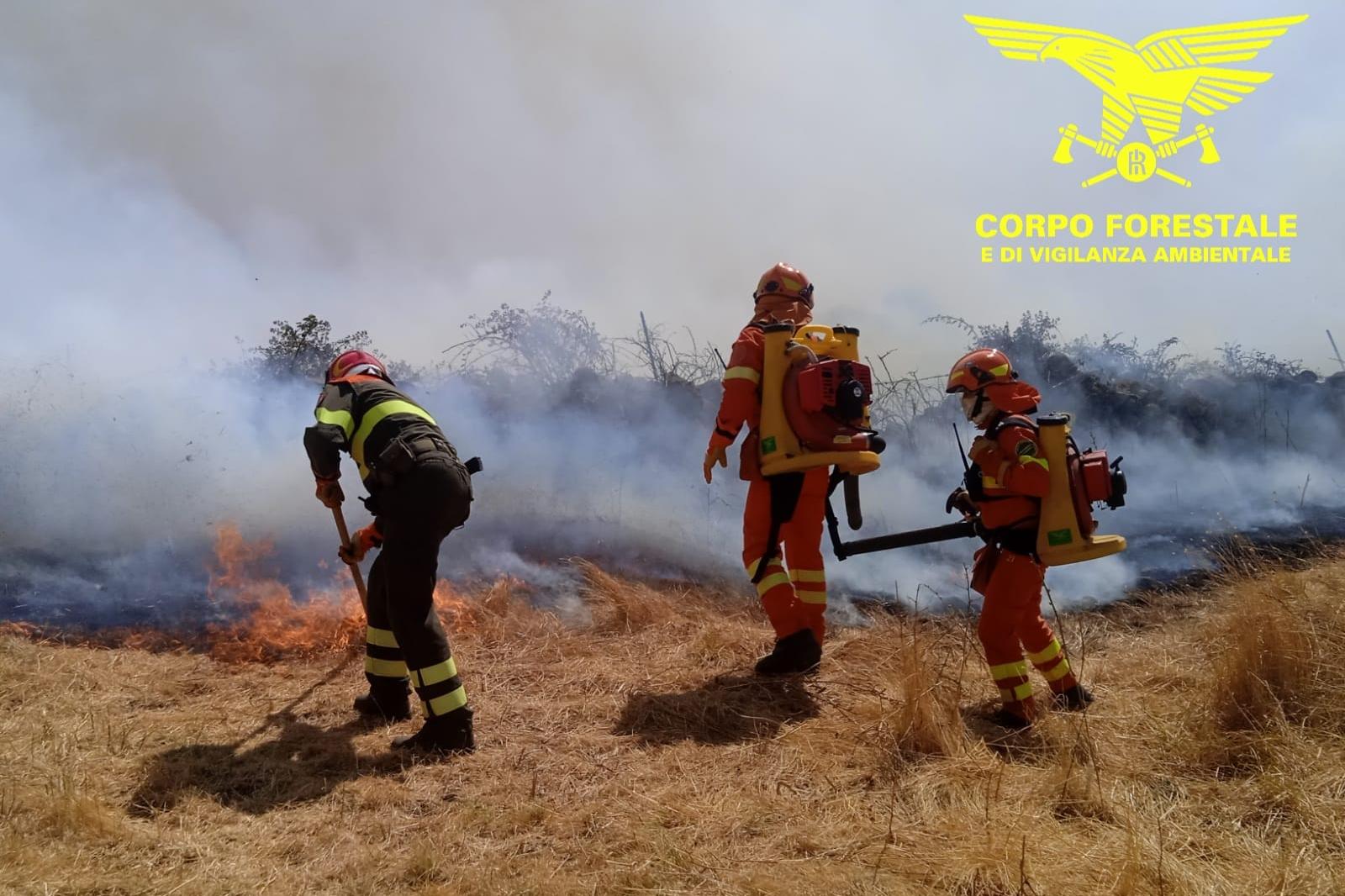 Fires in Sardinia, helicopters operating in Calangianus and Tiana