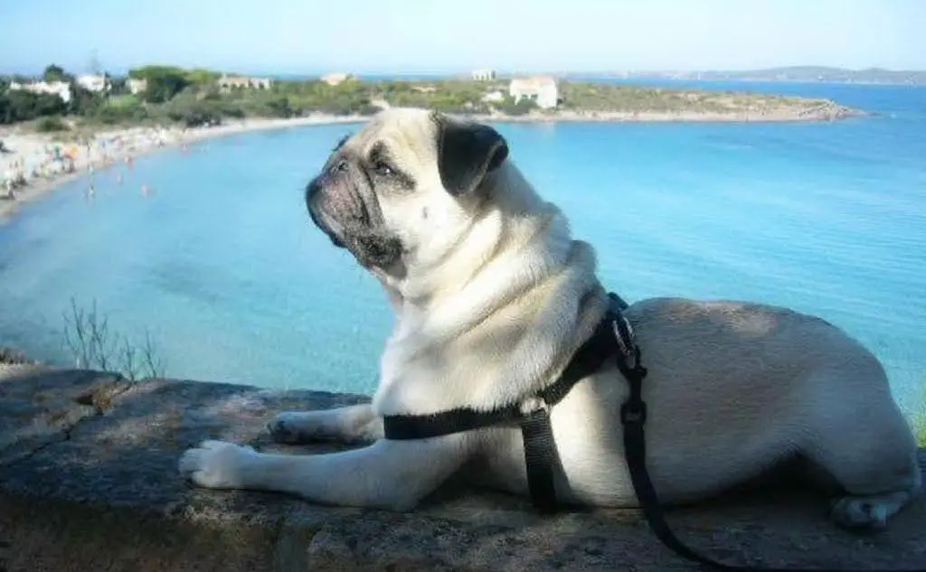 Asia e le vacanze a Calasetta. Foto inviata da Maria Grazia Spiga