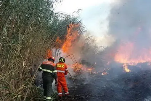 L'incendio a Molentargius