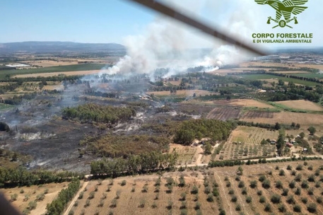 Incendio nel Sassarese, foto Corpo Forestale e di Vigilanza Ambientale della Sardegna