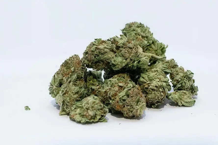 Marijuana (foto d'archivio)