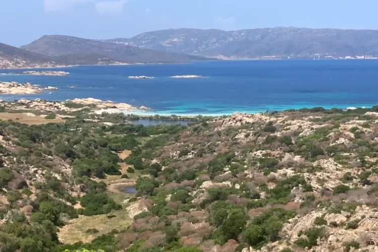 L'isola dell'Asinara (foto Pala)