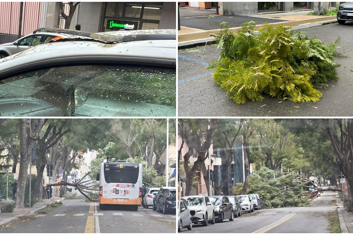 In alto via Dante, in basso l'albero crollato in via Pessina (L'Unione Sarda)