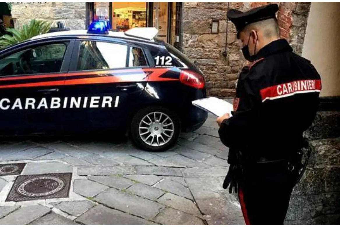 Sul caso indagano i carabinieri (Ansa)