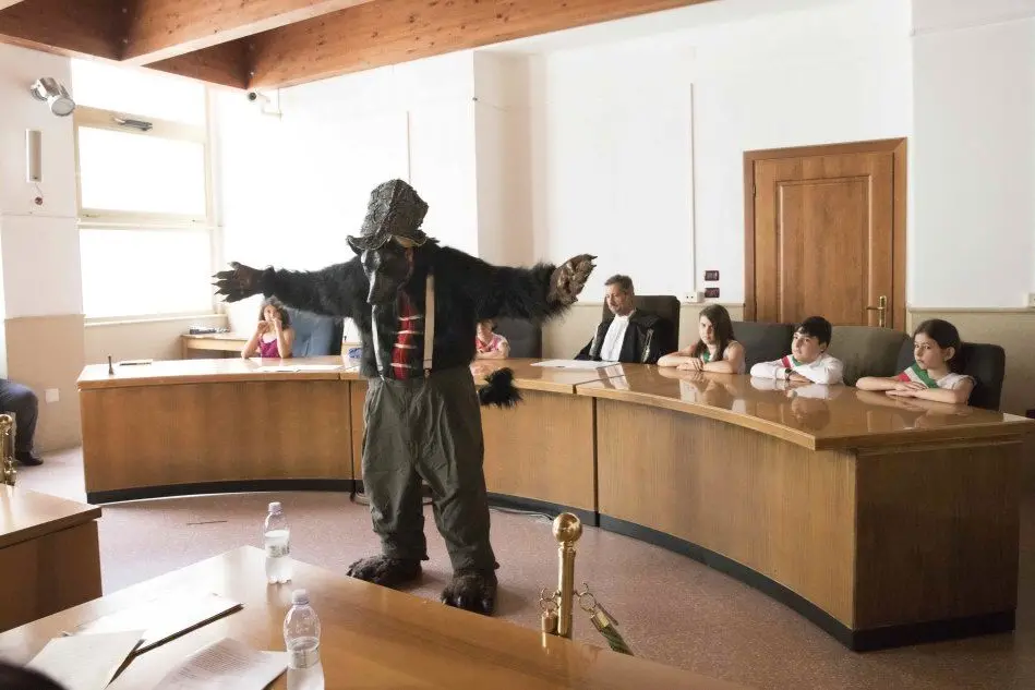 Il lupo in tribunale