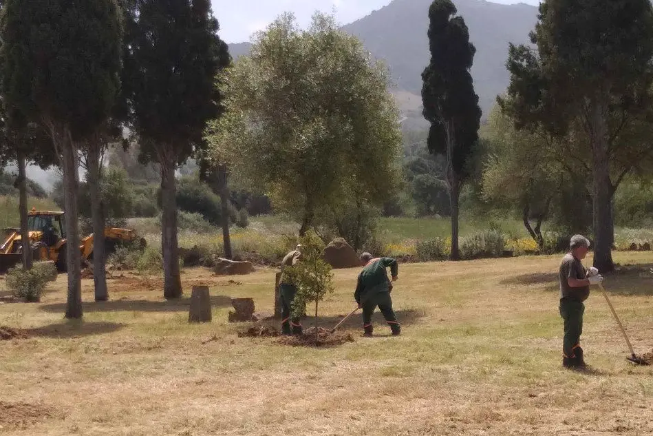 Operai di Forestas al lavoro nell'area del vecchio cimitero (foto Simone Farris)