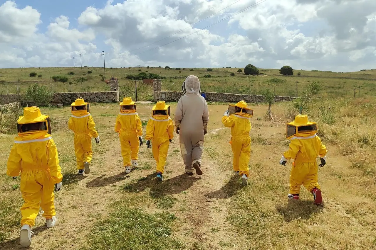 I bambini coinvolti nel progetto Ape Amica (foto concessa)