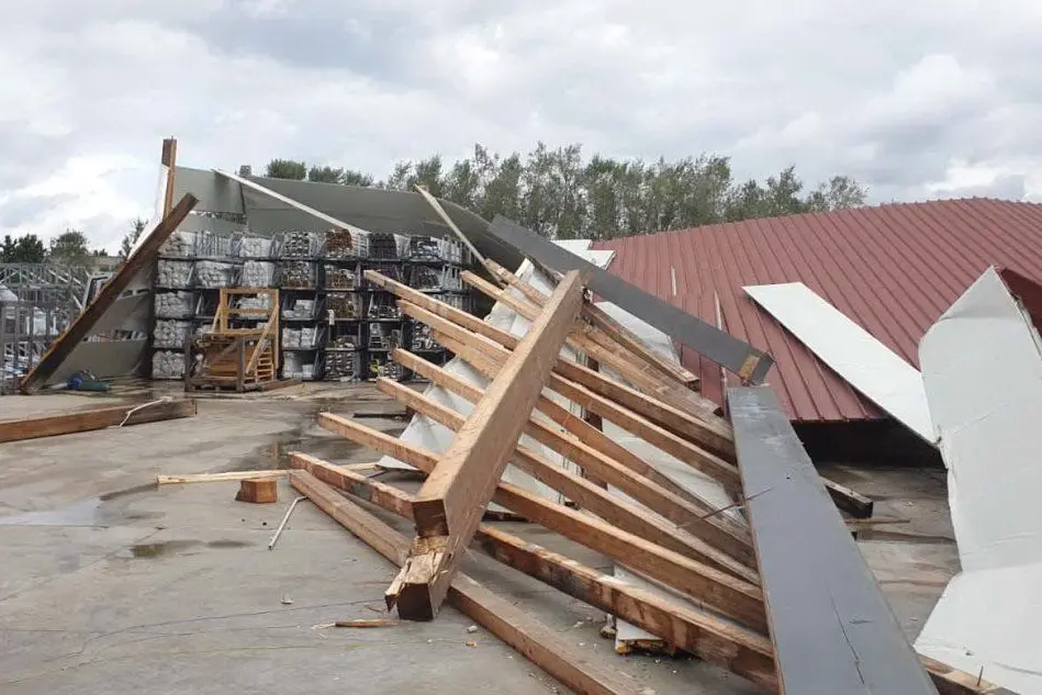 Il capannone distrutto dal vento (foto Fiori)