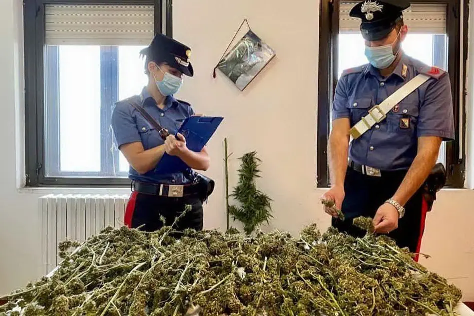 La droga (foto carabinieri)