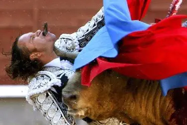 Il torero fa la fine del Toro