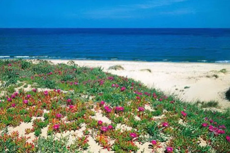Un tratto di mare della Marina di Sorso