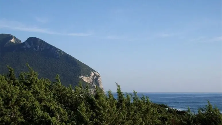 https://immagini.unionesarda.it/version/c:MzQyYjM3MDAtODg2NS00:ZDcyN2I2YzAtNDYyOC00/image.webp?f=16:9