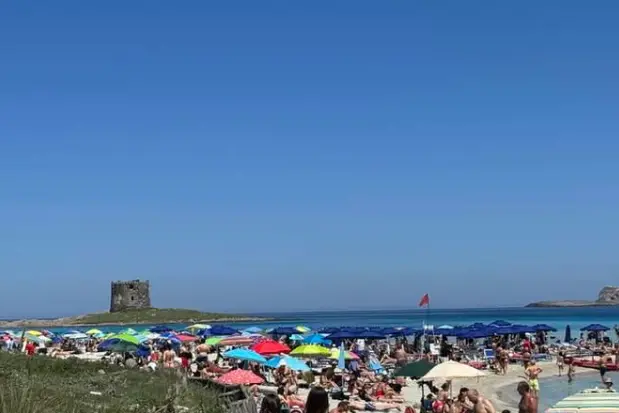 La Pelosa oggi Primo Maggio (foto Pala)
