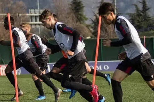 I giocatori durante gli allenamenti (foto da Instagram @bolognafc)