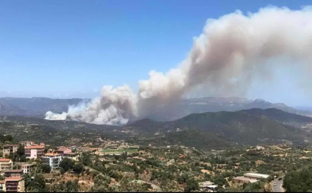 L'incendio a Villagrande (foto del lettore Stefano Pinna)