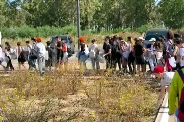 Torre Grande, studenti e volontari ripuliscono la pineta: raccolti 15 quintali di rifiuti