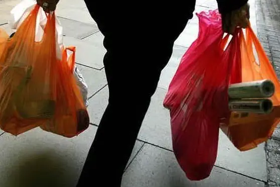 Buste della spesa (immagine simbolo)