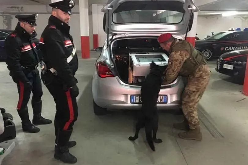 I militari durante i controlli del'operazione Ichnos (Foto Carabinieri)