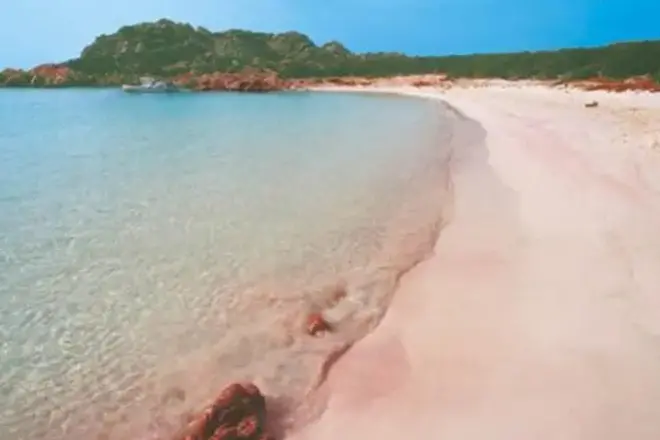 La Spiaggia Rosa dell'Isola di Budelli (Archivio L'Unione Sarda)