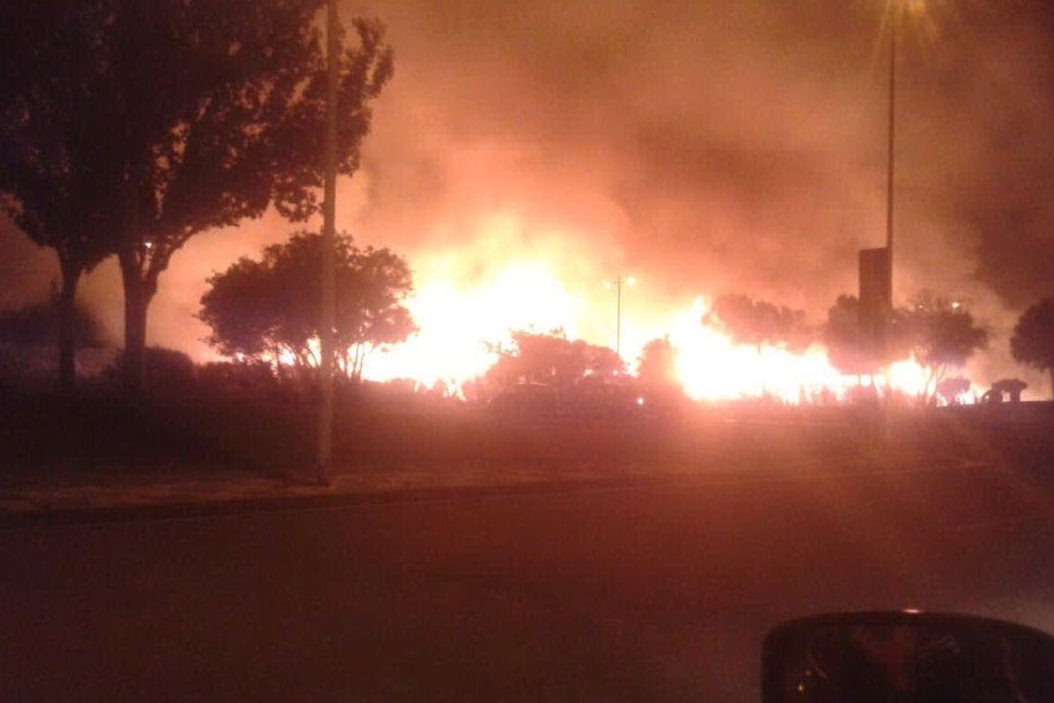 L'incendio che ha devastato il Parco di Molentargius