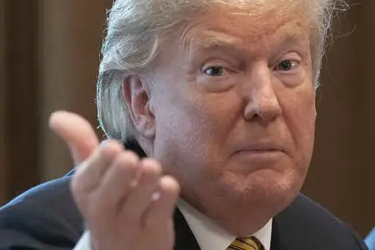 Il presidente degli Stati Uniti, Donald Trump (Ansa)
