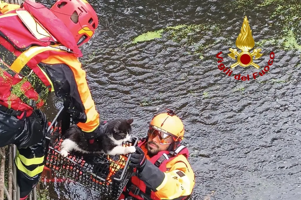Foto Vigili del Fuoco