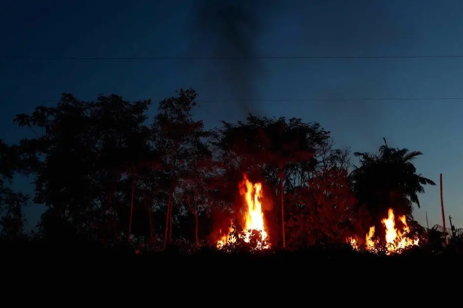 Incendi in Brasile (Ansa)