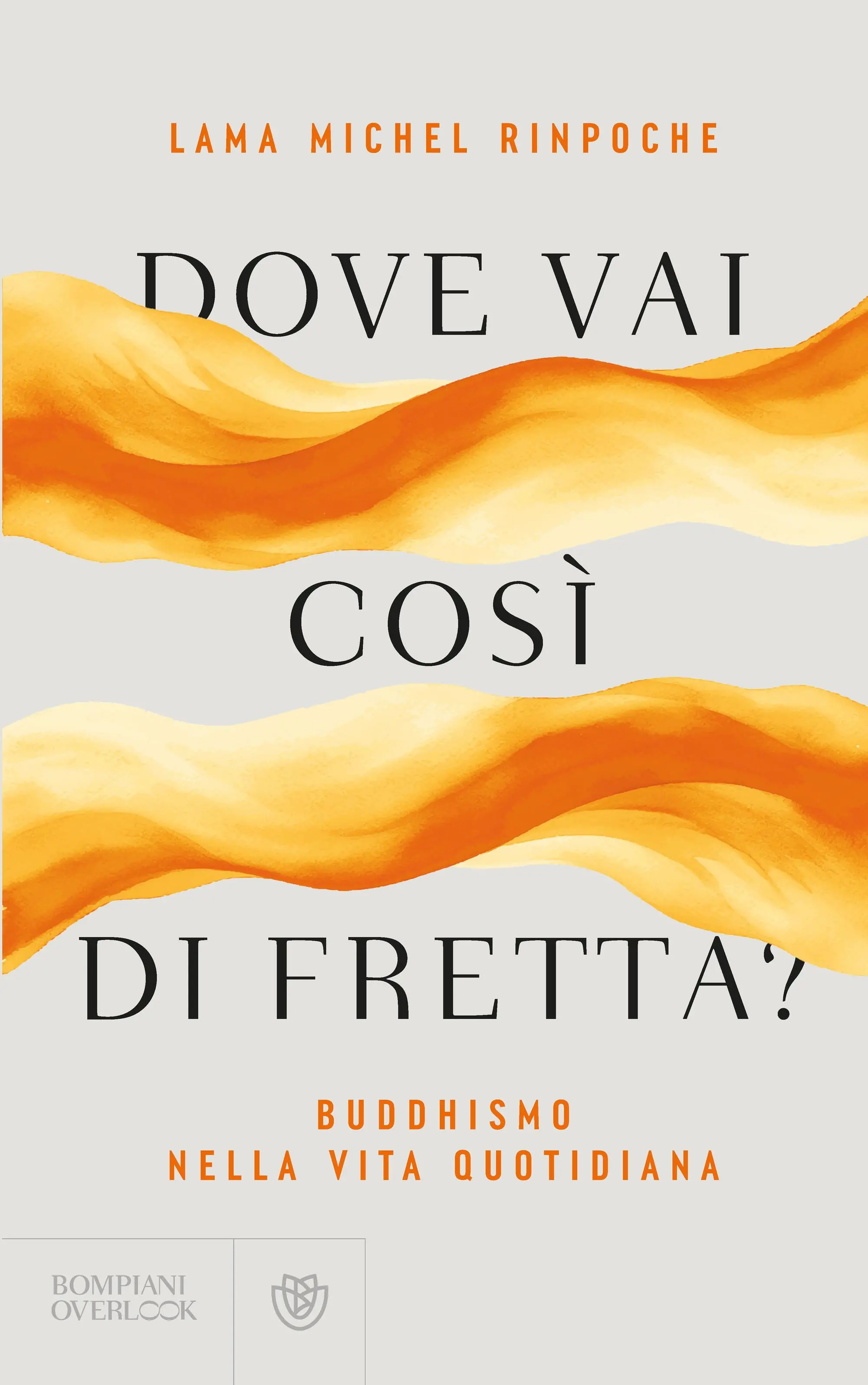 La copertina del libro