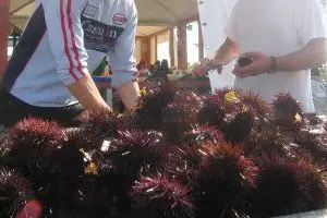 Un chiosco per la vendita di ricci