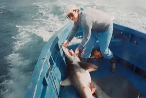 Giovanni Usai con uno squalo (foto L'Unione Sarda - Tellini)