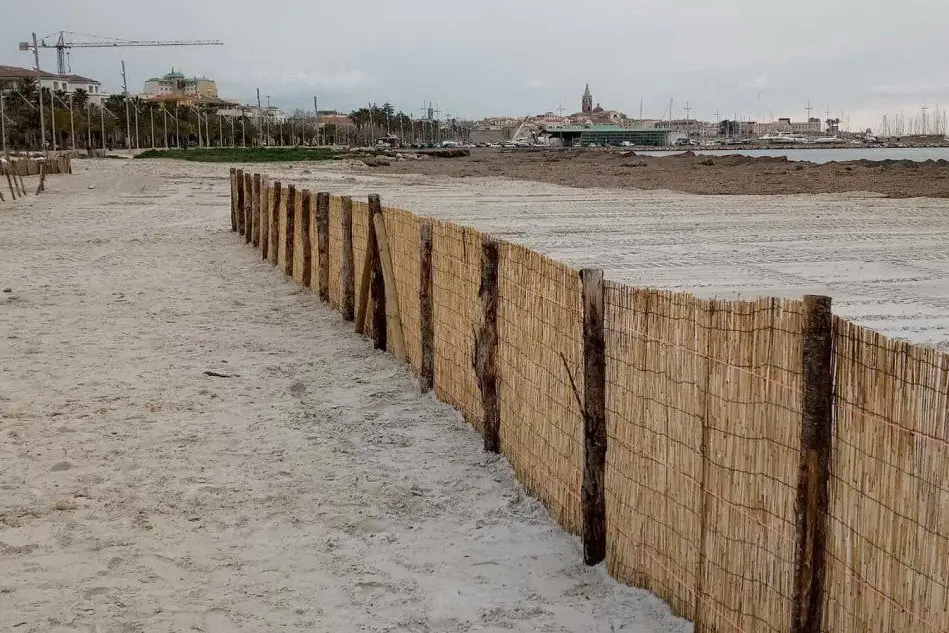 Le barriere posizionate in spiaggia