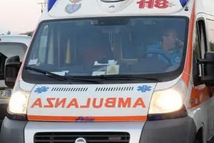 (Ansa)