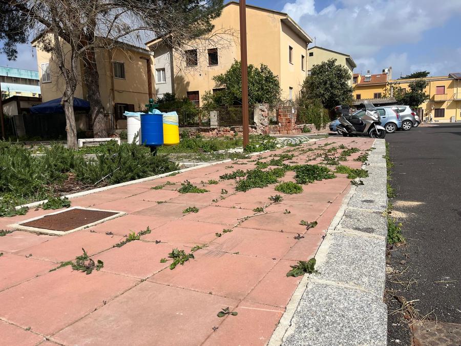 Oristano rilancia la lotta alle erbacce: da lunedì trattamenti notturni