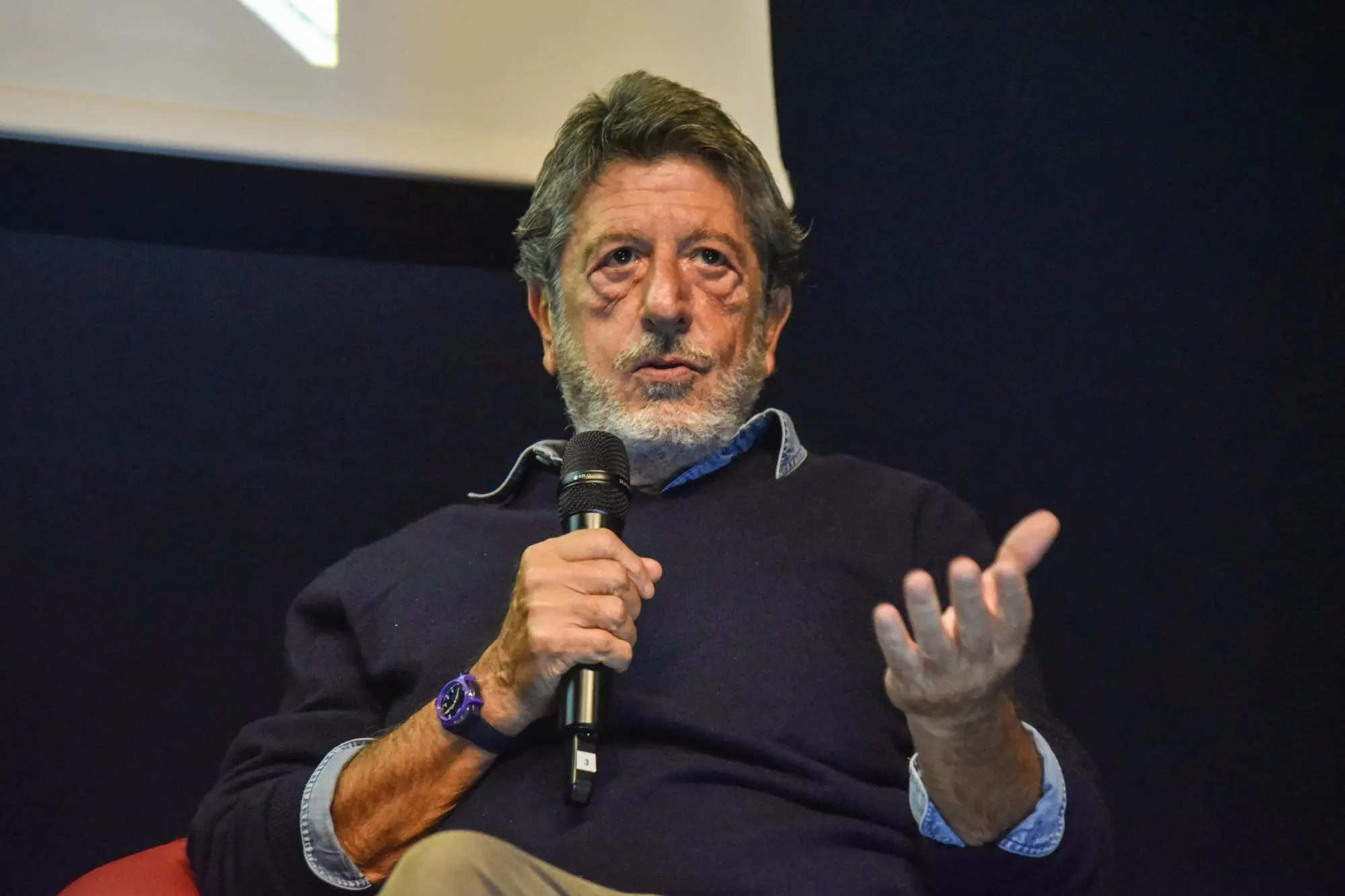 Andrea Purgatori (Ansa)
