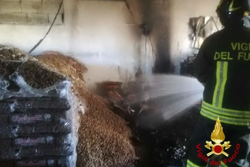L'intervento (foto vigili del fuoco)