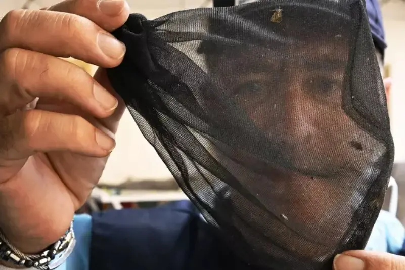 Cattura di zanzare per le analisi sulla West Nile