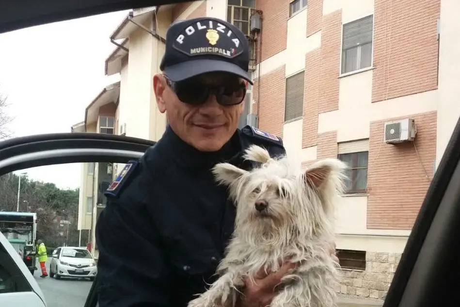 Lo yorkshire ritrovato dalla polizia municipale
