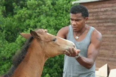 Lulù Oliveira