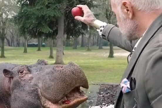 Gianluca Vacchi e la mela all'ippopotamo (screenshot video su Instagram)