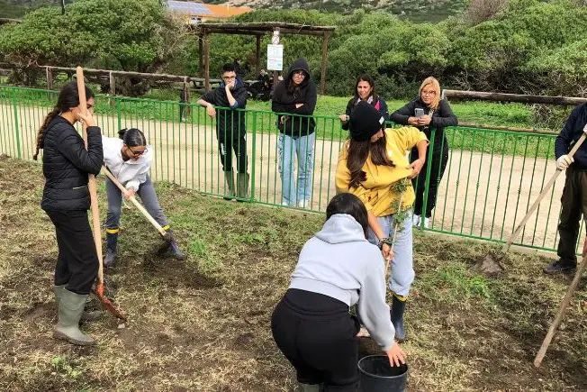 La piantumazione degli alberi (foto Pala)