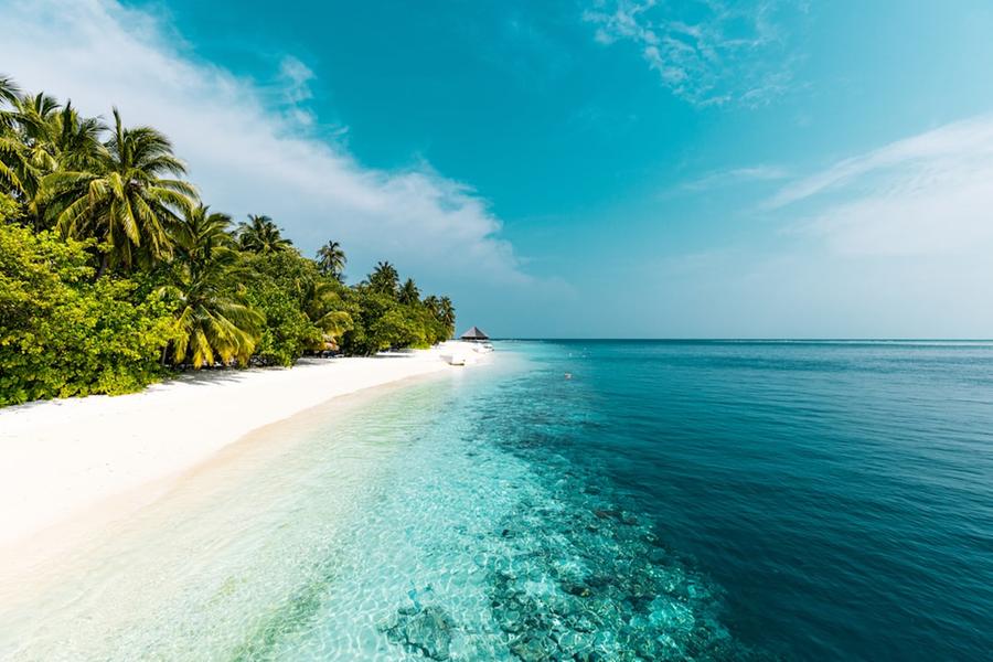 Tragedia alle Maldive: cinque italiani morti durante un’immersione
