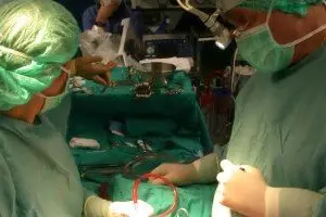 Un trapianto di cuore: foto d'archivio