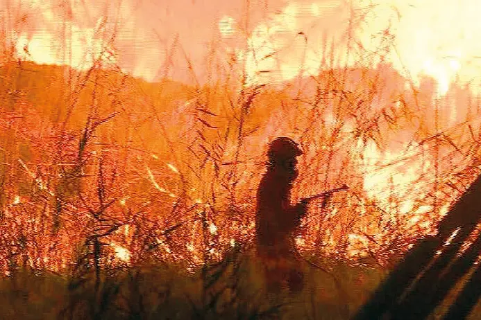 L’intervento di un vigile del fuoco durante un incendio, immagine simbolo (Archivio L'Unione Sarda)