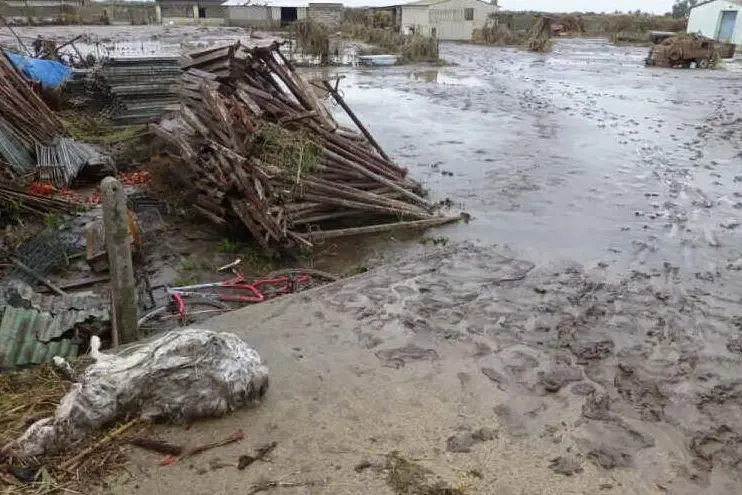 Campagne devastate dall'alluvione