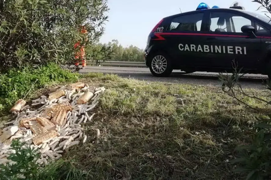 La discarica scoperta dai carabinieri (Foto L.Ena)