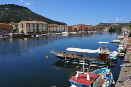 Bosa