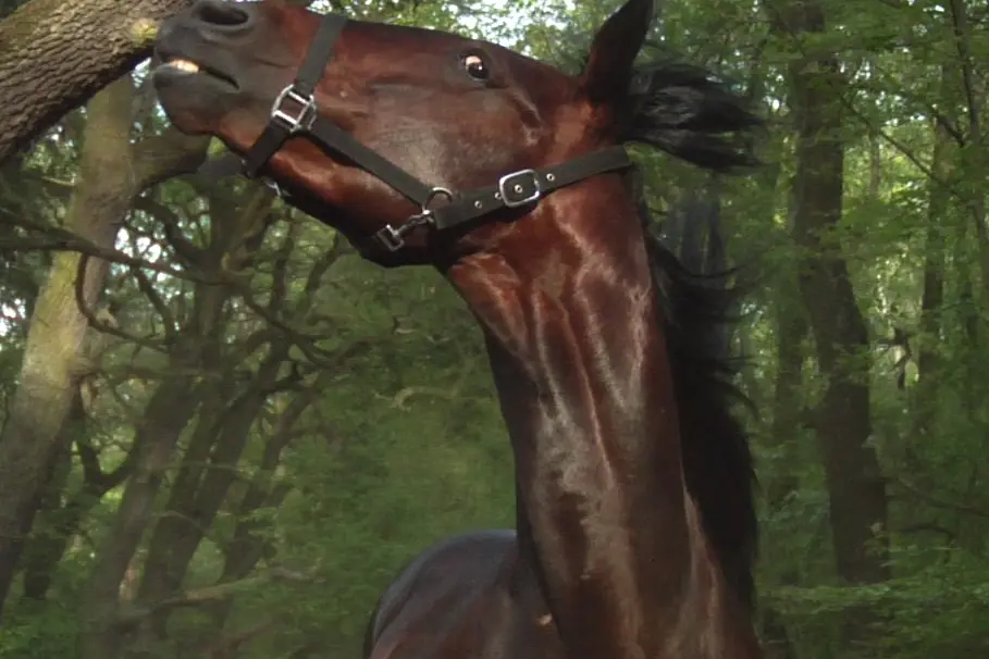 Un'immagine di "The end of the process" (foto ufficio stampa)