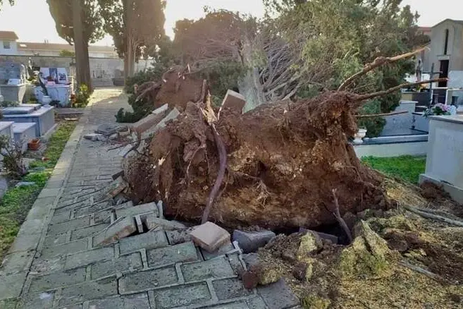I danni al cimitero di Baratili San Pietro (foto concessa)