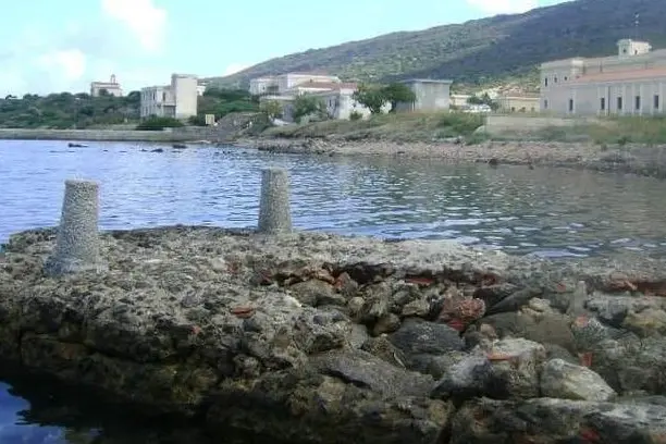 L'isola dell'Asinara (foto Pala)